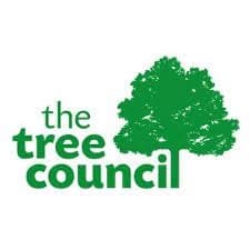 tree-councile.jpg